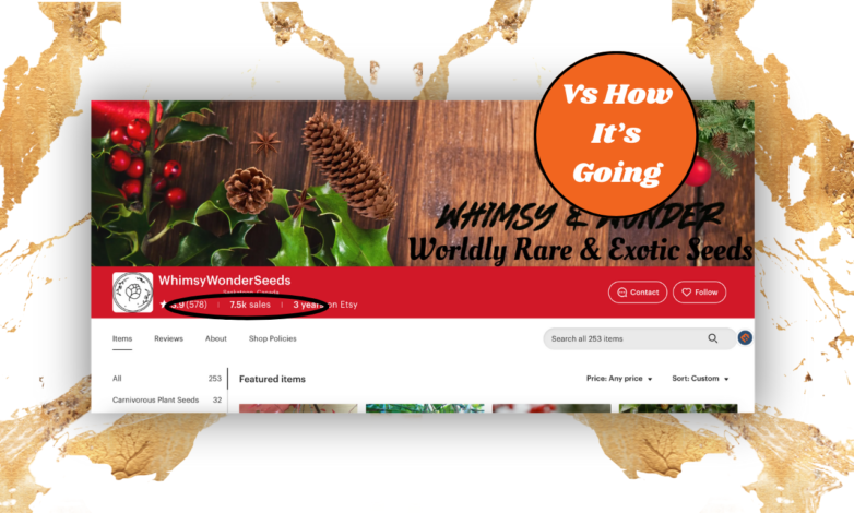 WhimsyWonderSeeds: From Early Traction to Category Authority Through Strategic Etsy Optimization